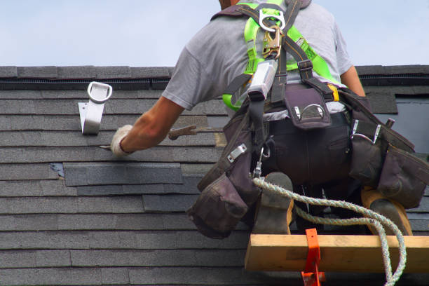 Best Gutter Installation and Roofing  in Prairie Grove, IL