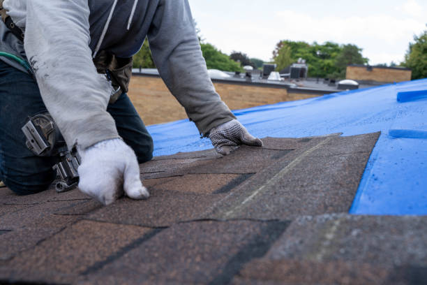Best Roof Restoration Services  in Prairie Grove, IL
