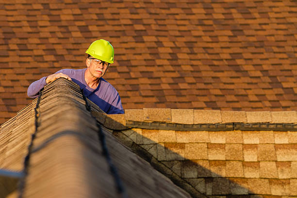 Roof Gutter Cleaning in Prairie Grove, IL
